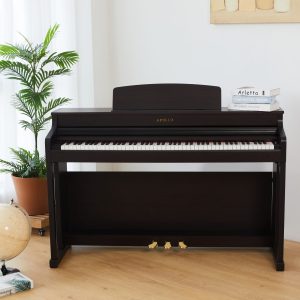 Đàn Piano Apollo DP-260N