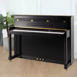 Đàn Piano Apollo Ru-8